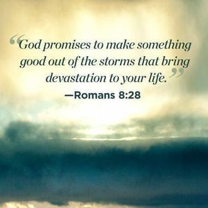 Meet your Posher, Shari